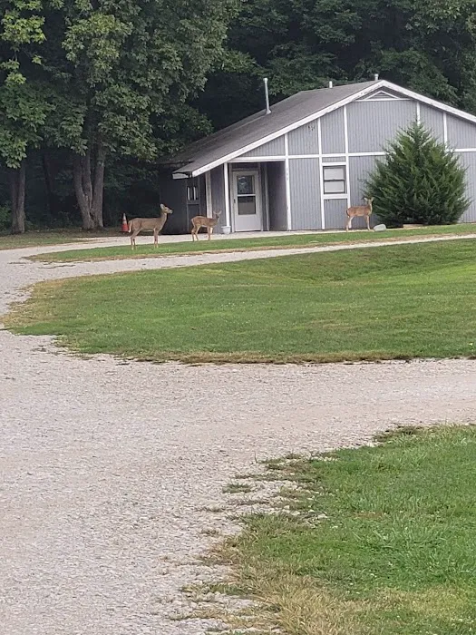 White Oaks on the Lake RV Resort Picture 4