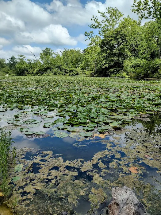 France Park Picture 2