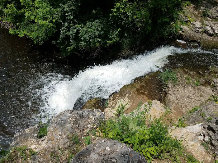 France Park Picture 4