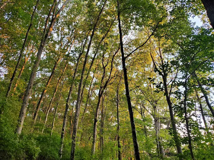 France Park Picture 8