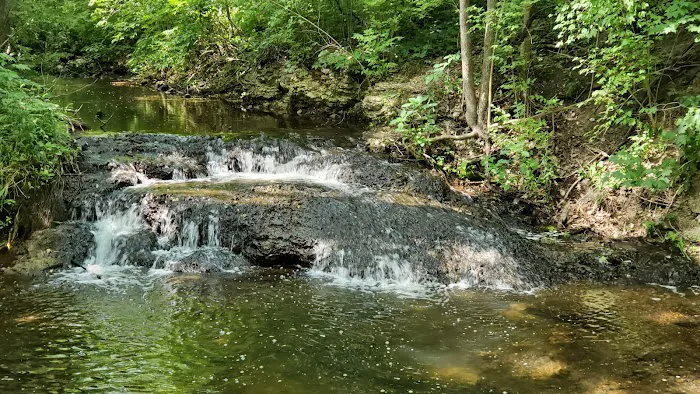 France Park Picture 9