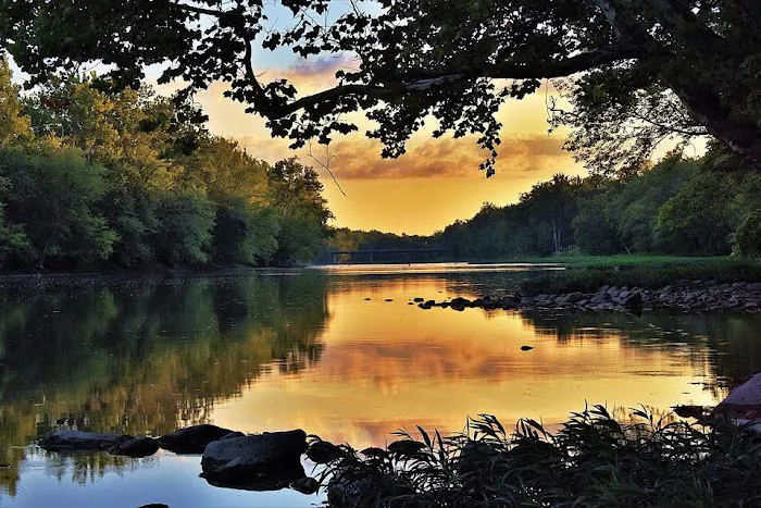 Tall Sycamore Campground Picture 9