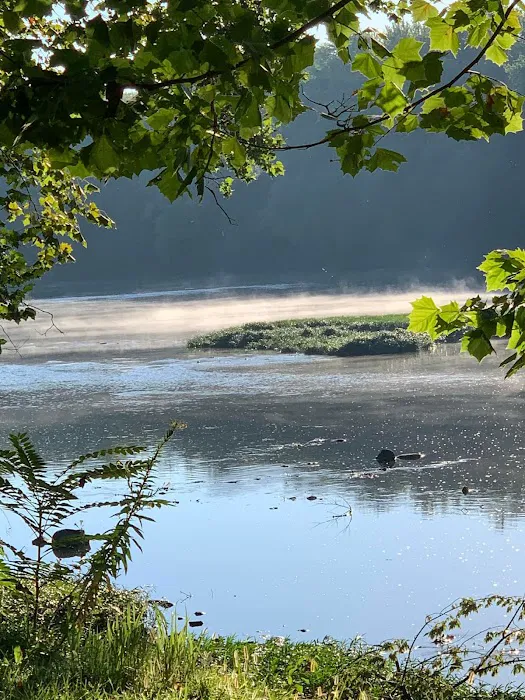 Tall Sycamore Campground Picture 10