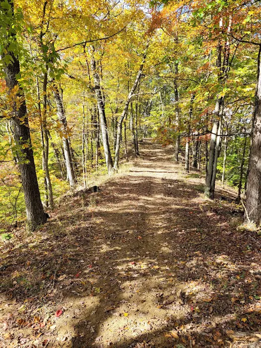 Deam Lake Family Campground Picture 9