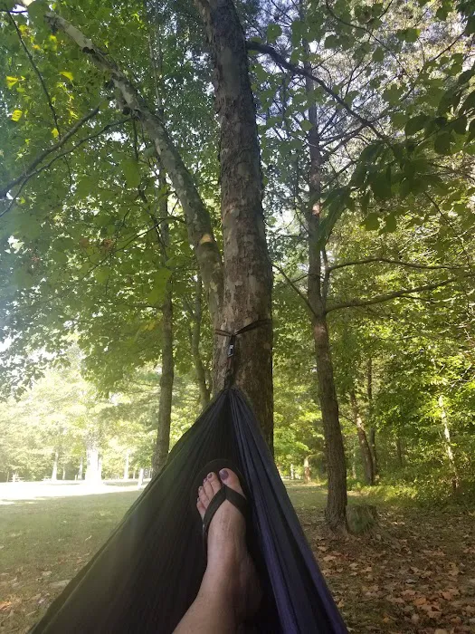 Deam Lake Family Campground Picture 5