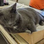 Louisville North Campground