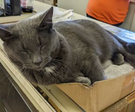 Louisville North Campground