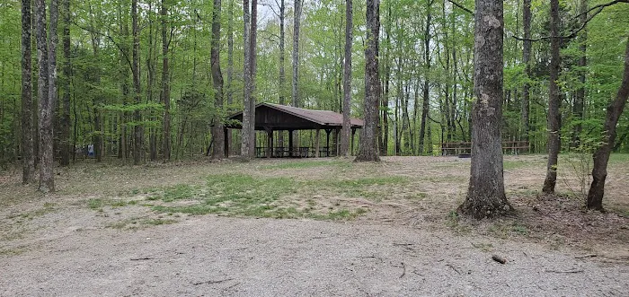 Jefferson Memorial Forest- Horine Campgrounds Picture 3