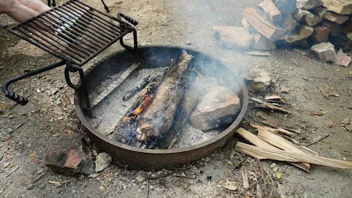 Jefferson Memorial Forest- Horine Campgrounds Picture 1