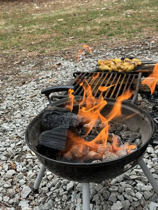 Jefferson Memorial Forest- Horine Campgrounds Picture 9
