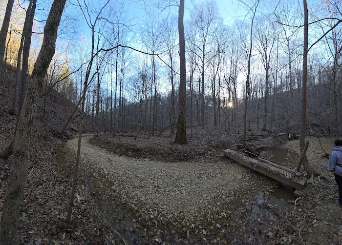 Jefferson Memorial Forest- Horine Campgrounds Picture 8