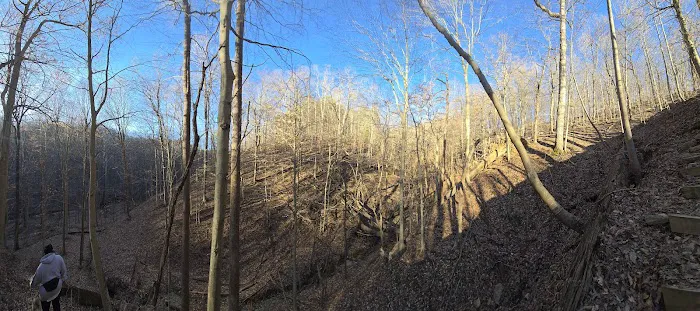Jefferson Memorial Forest- Horine Campgrounds Picture 7