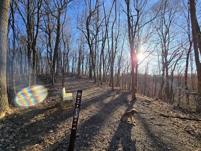 Jefferson Memorial Forest- Horine Campgrounds Picture 6