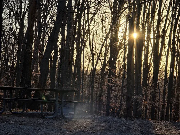 Jefferson Memorial Forest- Horine Campgrounds Picture 10