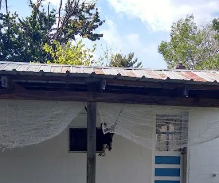 US Forestry Department