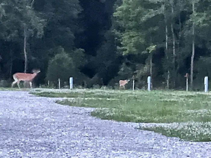 Away A Day RV Campground Picture 8