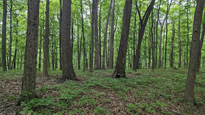 Brown County / Nashville KOA Holiday Picture 4