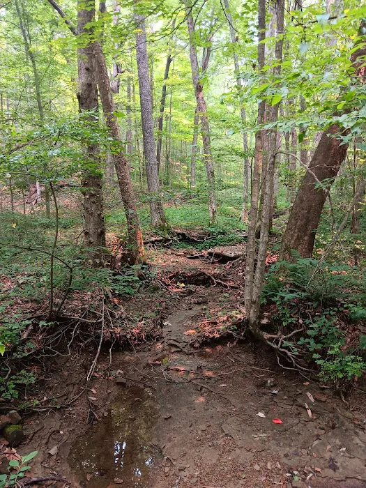 Raccoon Ridge Campground Picture 2