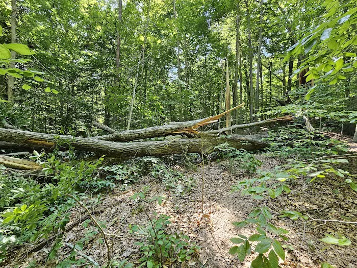 Raccoon Ridge Campground Picture 9