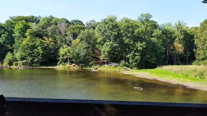 Raccoon Ridge Campground Picture 5