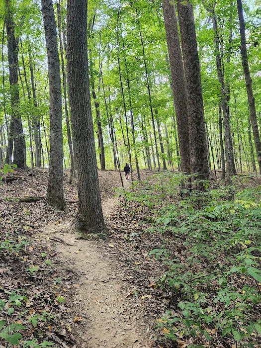 Taylor Ridge Campground Picture 8