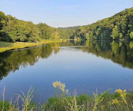 Taylor Ridge Campground