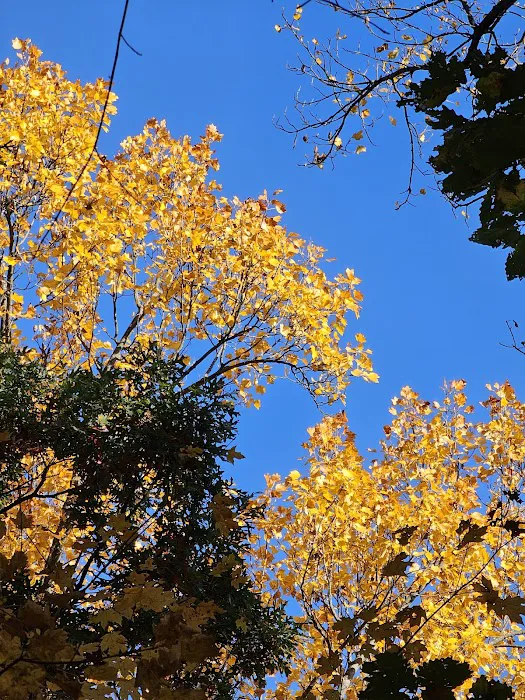 Taylor Ridge Campground Picture 2