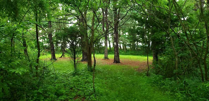 HHC camping Picture 6