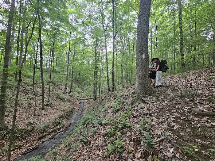 HHC camping Picture 5