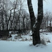 Norman Conservation Club ico
