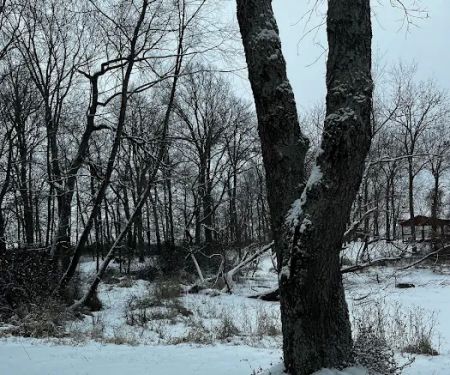 Norman Conservation Club