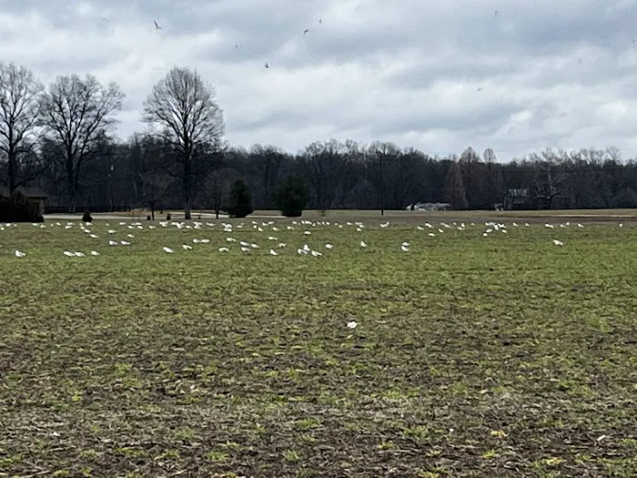 Norman Conservation Club Picture 2