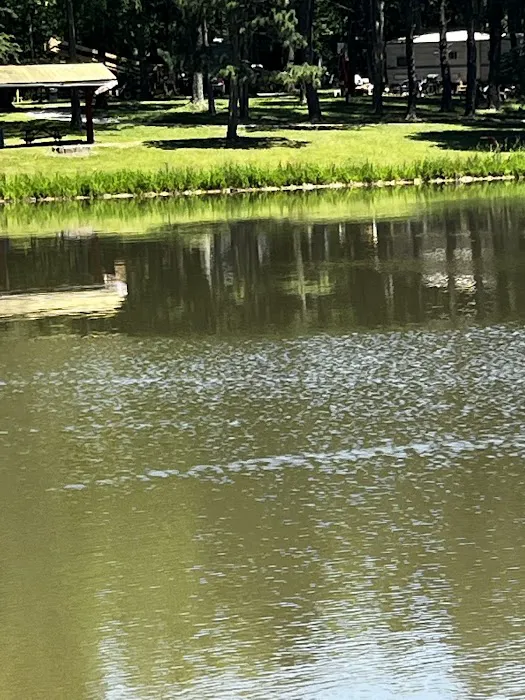 Norman Conservation Club Picture 4