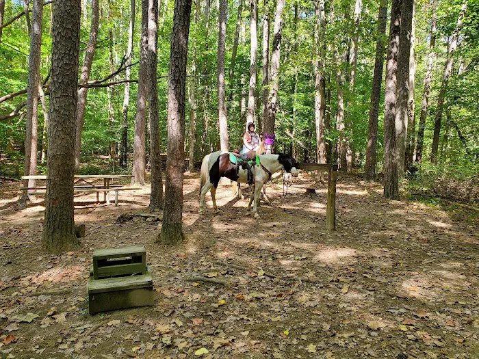 Hoosier Horse Camp Picture 9