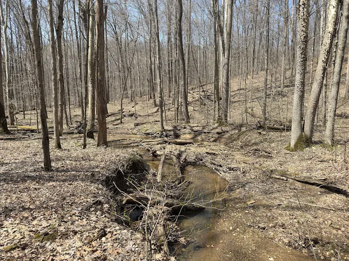 Hickory Ridge Horse Camp Picture 2
