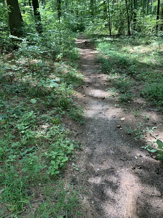 Hickory Ridge Horse Camp Picture 7