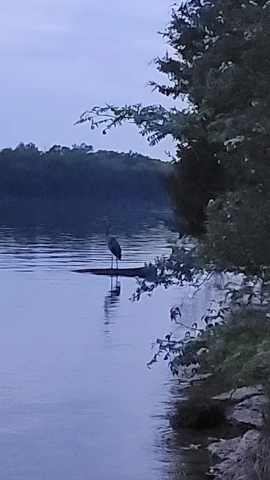 The Boonedocks at Cedar Creek Picture 7