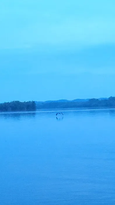 The Boonedocks at Cedar Creek Picture 8