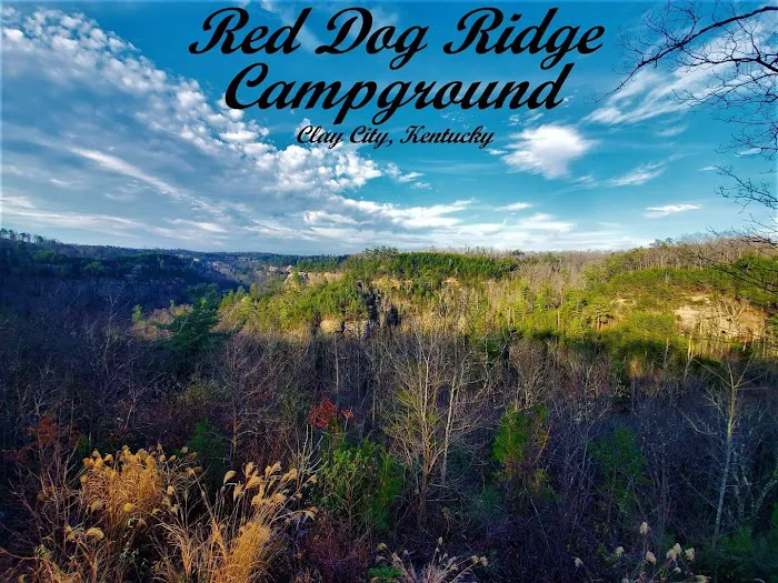 Red Dog Ridge Campground Picture 4