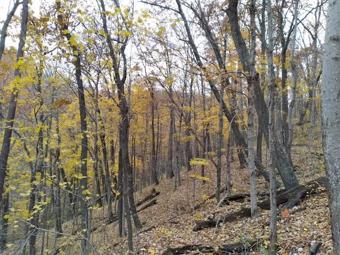 Red Dog Ridge Campground Picture 5