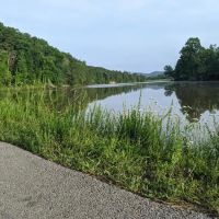 Red Dog Ridge Campground ico
