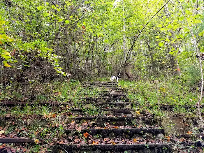 Rocky Bluff Campground Picture 1