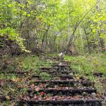 Rocky Bluff Campground