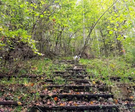 Rocky Bluff Campground