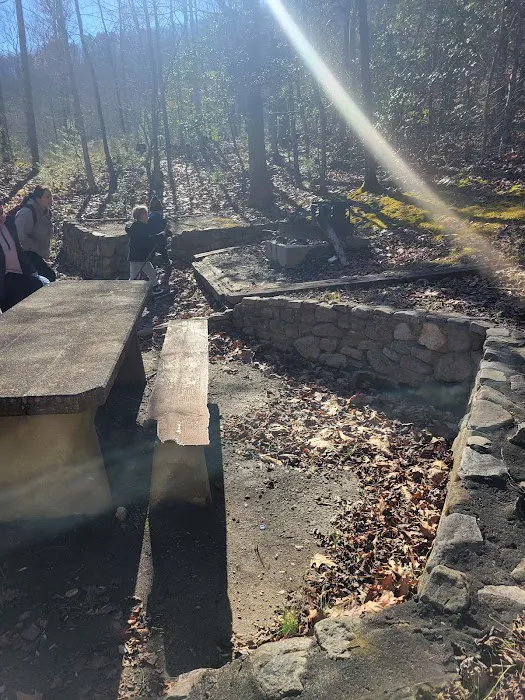 Rocky Bluff Campground Picture 6