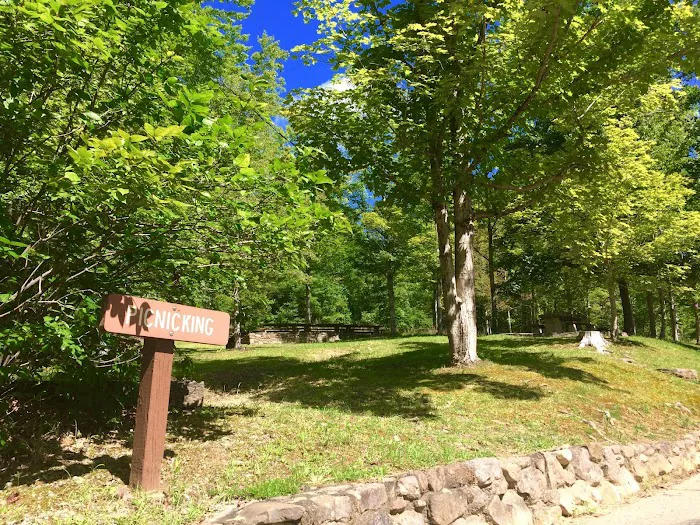 Rocky Bluff Campground Picture 8