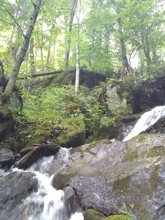 Rocky Bluff Campground Picture 7