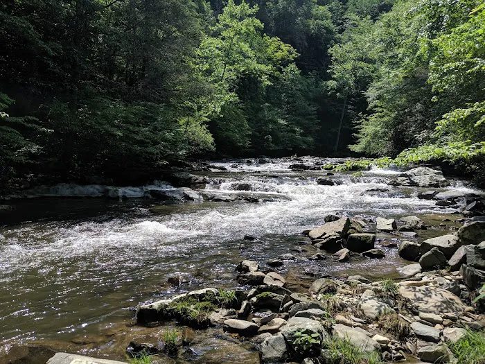 Rocky Bluff Campground Picture 9