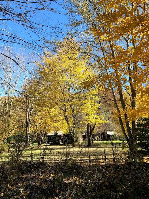 Meadow Fork Campground Picture 4