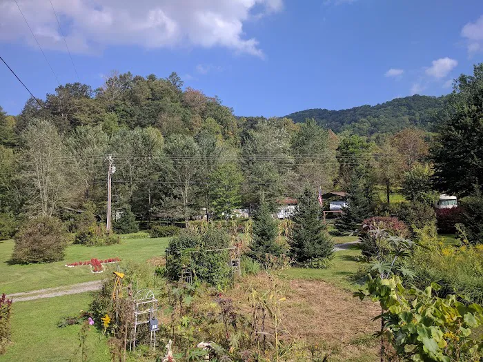 Meadow Fork Campground Picture 5